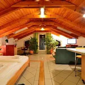 https://ajo-terrace-old-danube-lake-view-contactless-check-in.vienna-besthotels.com